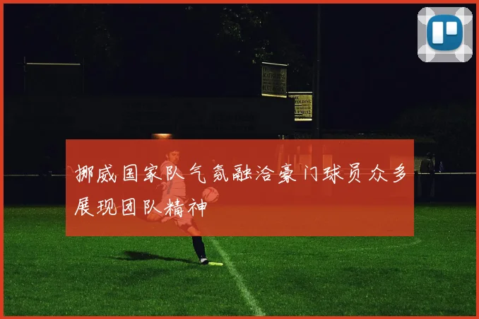 挪威国家队气氛融洽豪门球员众多展现团队精神