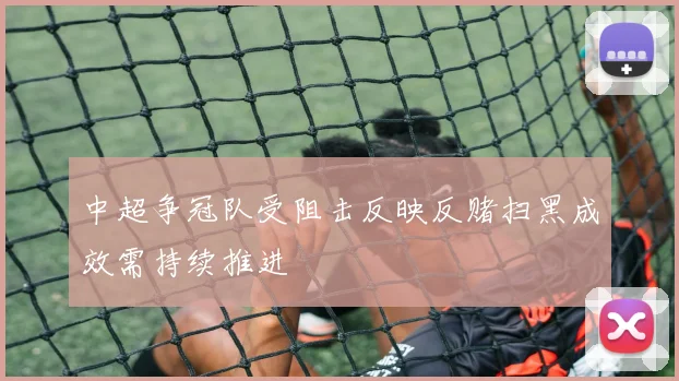 中超争冠队受阻击反映反赌扫黑成效需持续推进