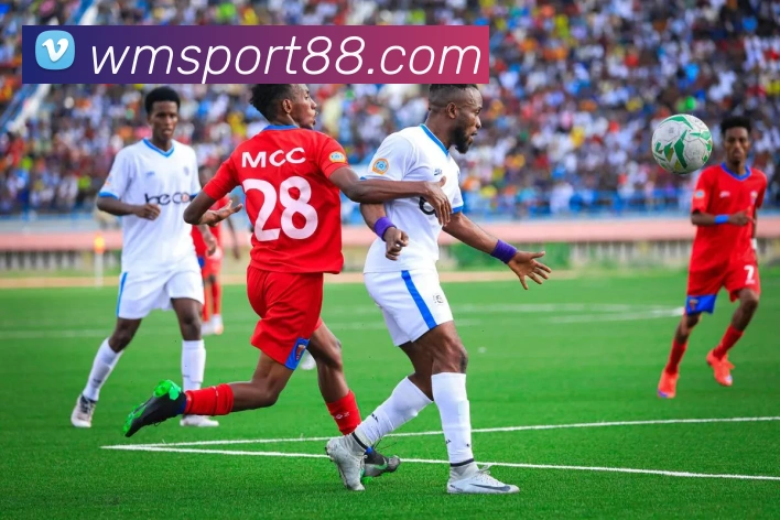 完美体育APP 封面图